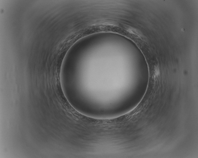 X0000073521014200607311218
