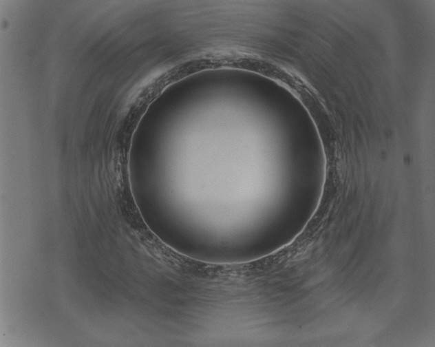 X0000073521016200607311218