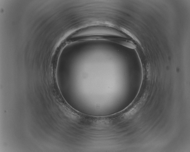 X0000073521021200607311218