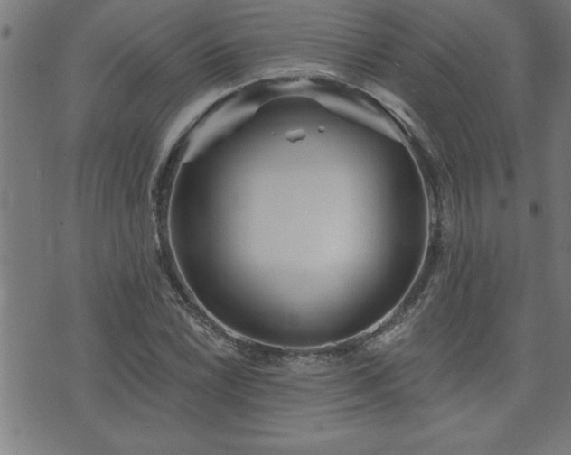 X0000073521022200607311218