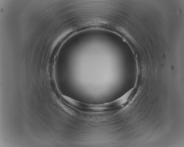 X0000073521026200607311218