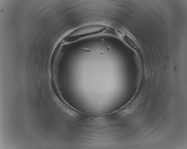 X0000073521028200607311219