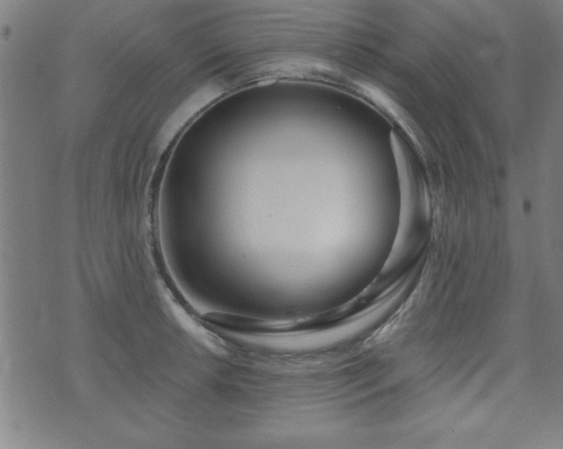 X0000073521042200607311219