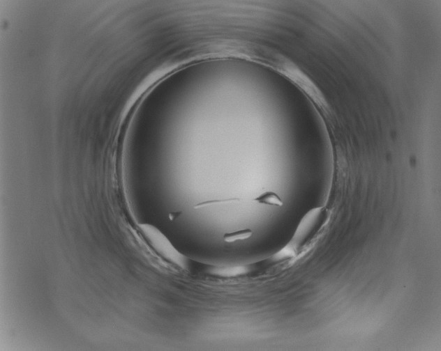 X0000073521052200607311219