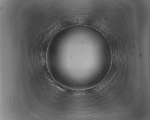 X0000073521058200607311218