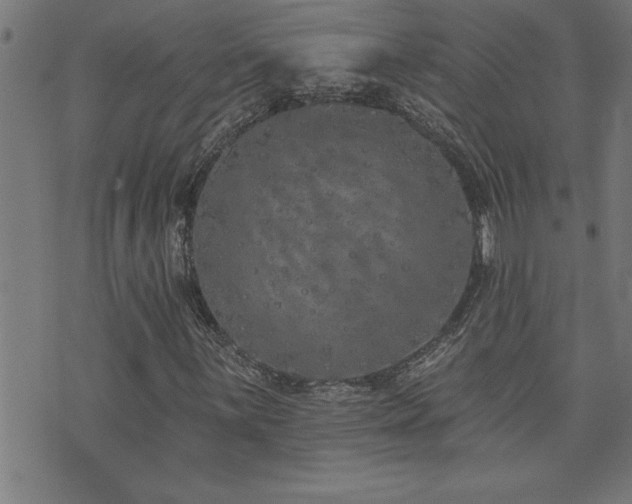 X0000073521059200607311218