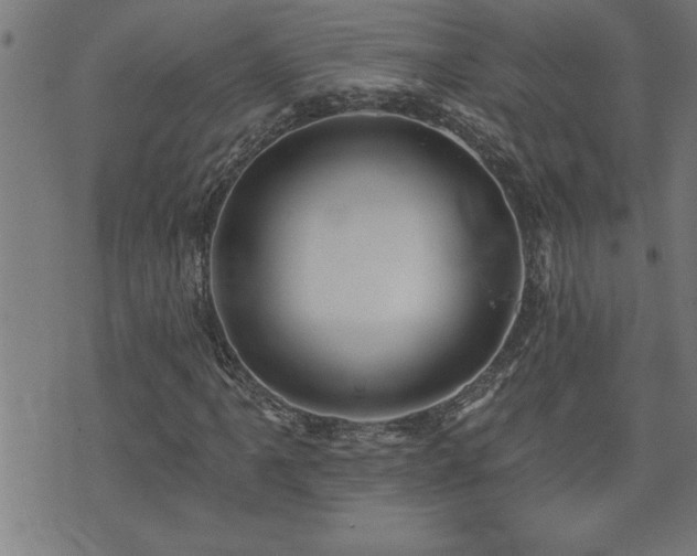 X0000073521061200607311218