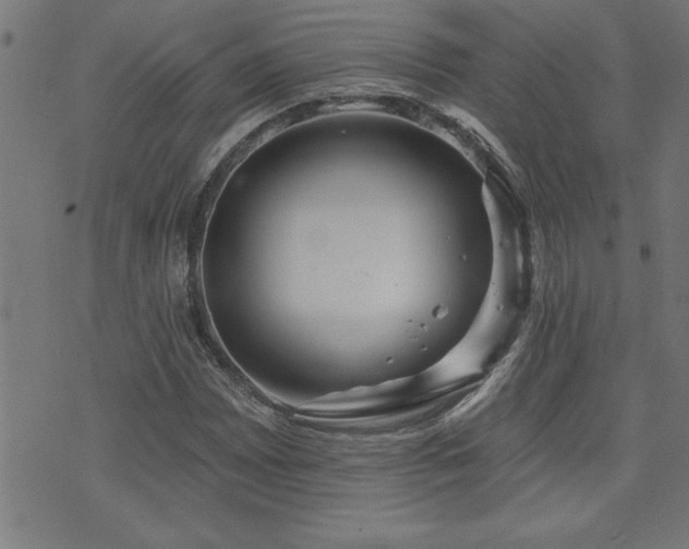 X0000073521065200607311218