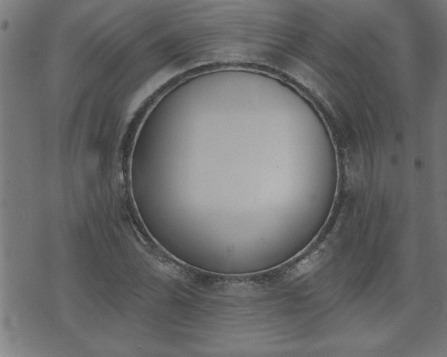 X0000073521070200607311218