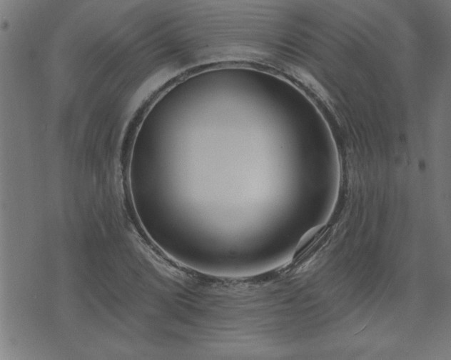 X0000073521072200607311218