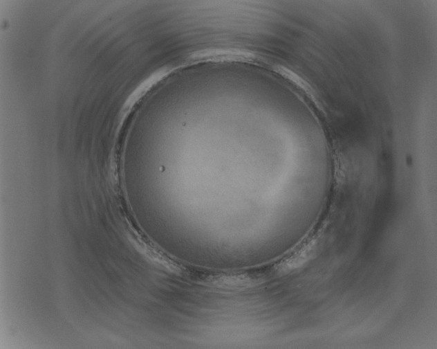 X0000073521074200607311218