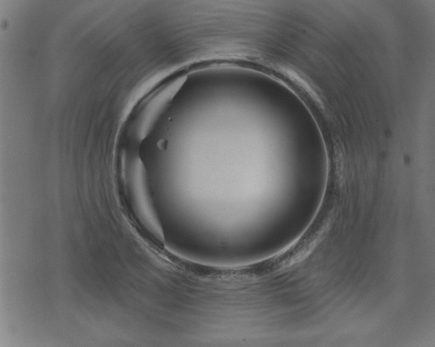 X0000073521077200607311218