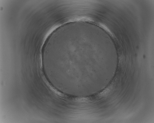 X0000073521079200607311218