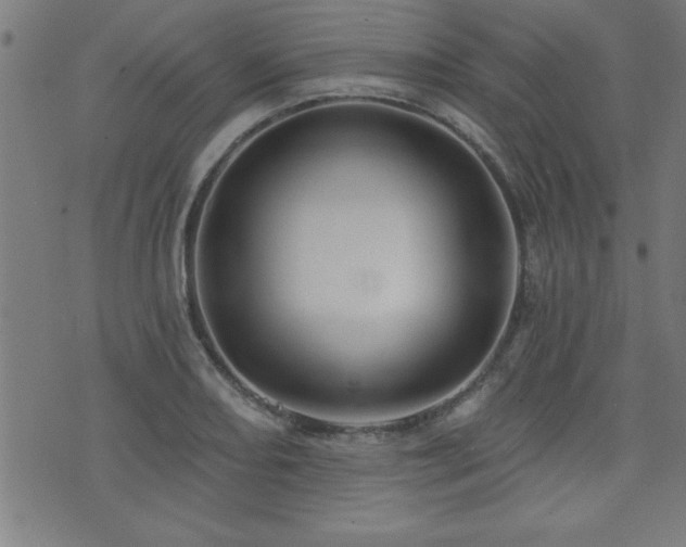 X0000073521082200607311218
