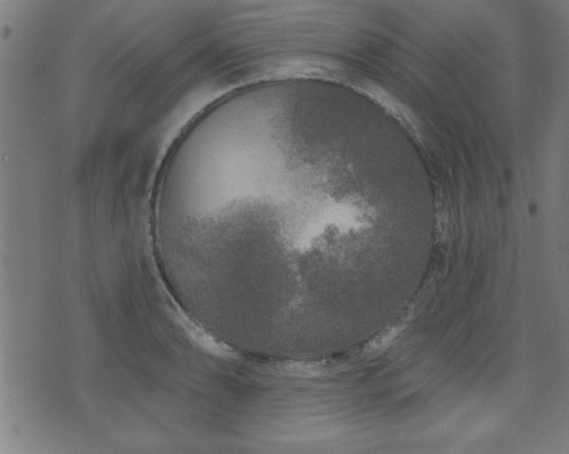 X0000073521086200607311218