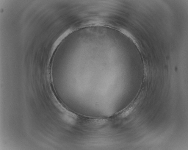 X0000073521090200607311218