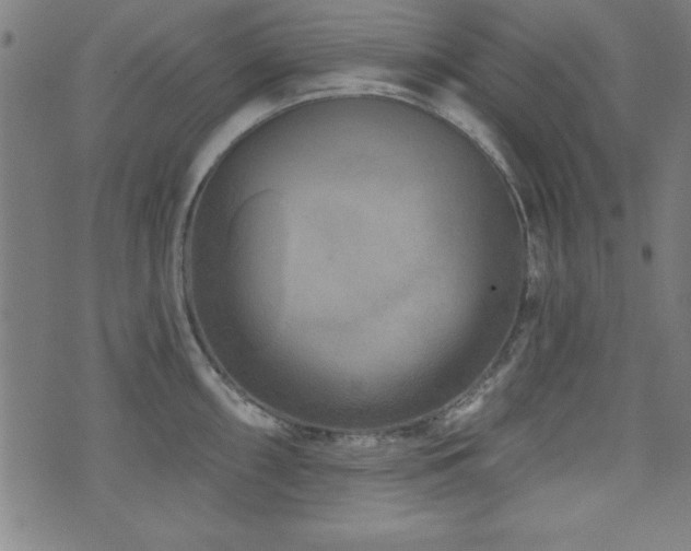 X0000073521098200607311218