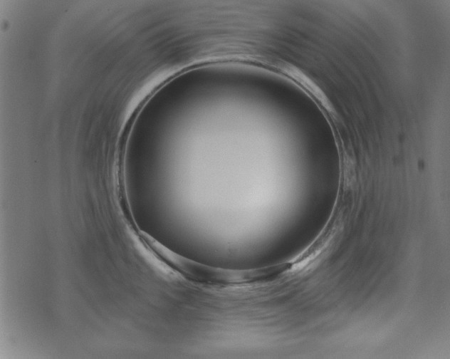 X0000073521101200607311217