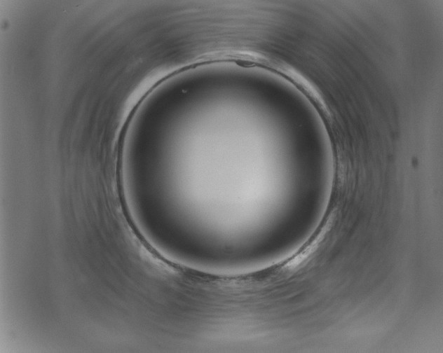 X0000073521102200607311217