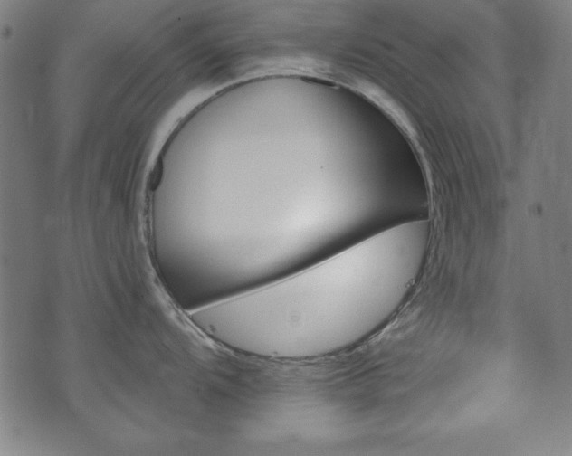 X0000073521104200607311217