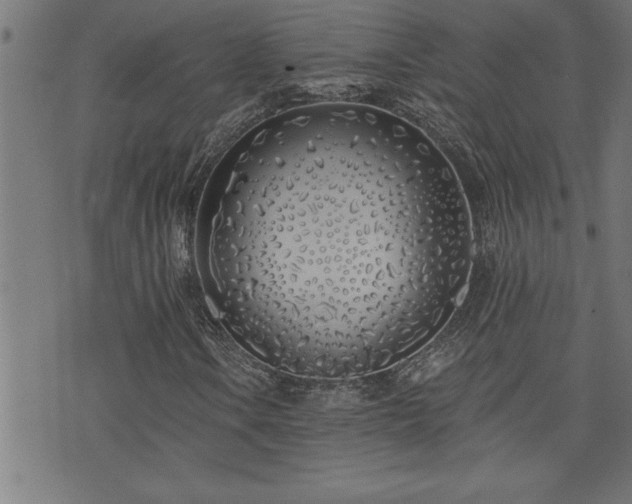 X0000073521106200607311217