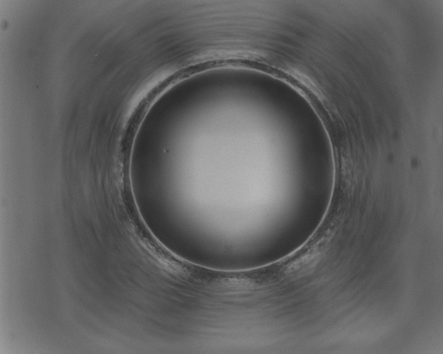 X0000073521119200607311217