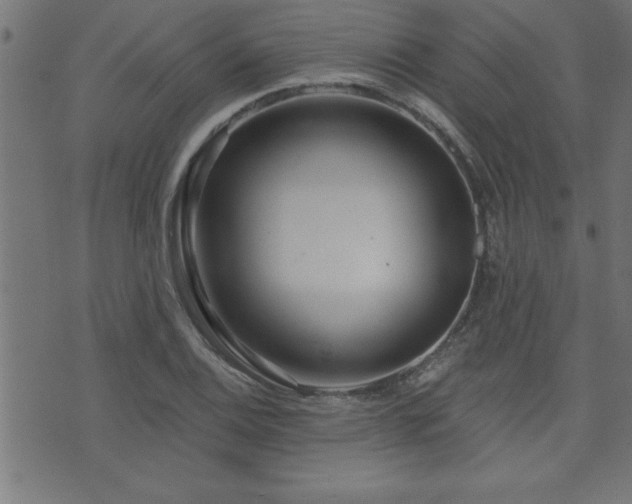 X0000073521124200607311217