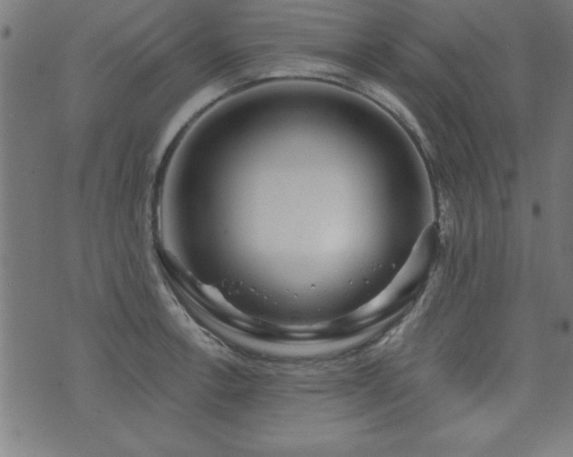 X0000073521138200607311217