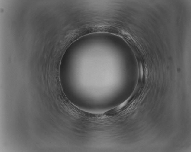X0000073521153200607311217