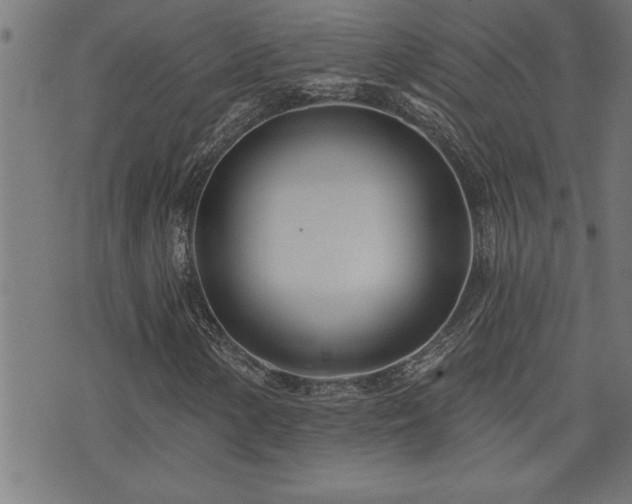 X0000073521154200607311217