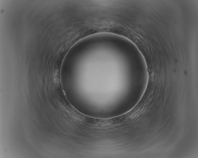 X0000073521156200607311217