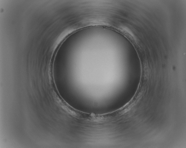 X0000073521182200607311216