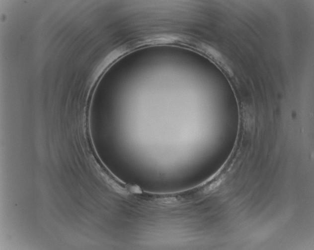 X0000073521186200607311216