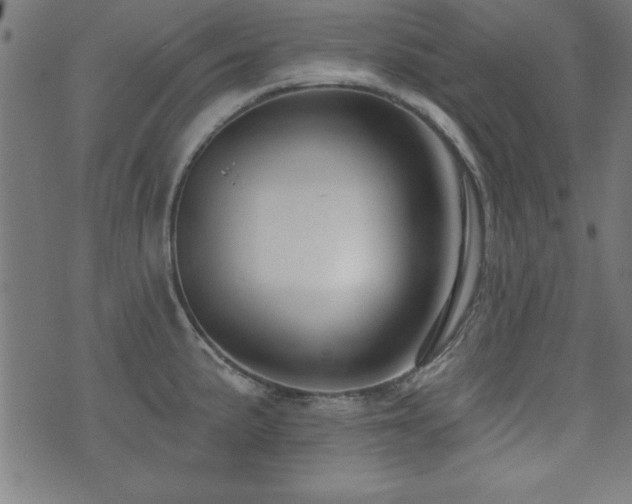 X0000073521191200607311216