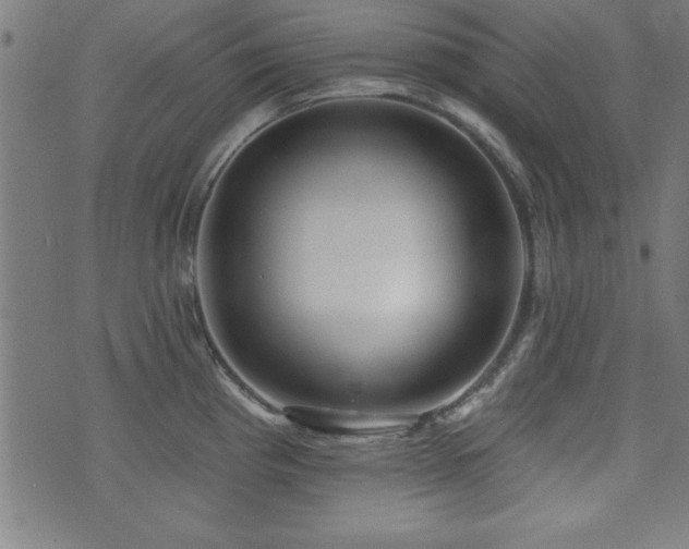 X0000073521193200607311216
