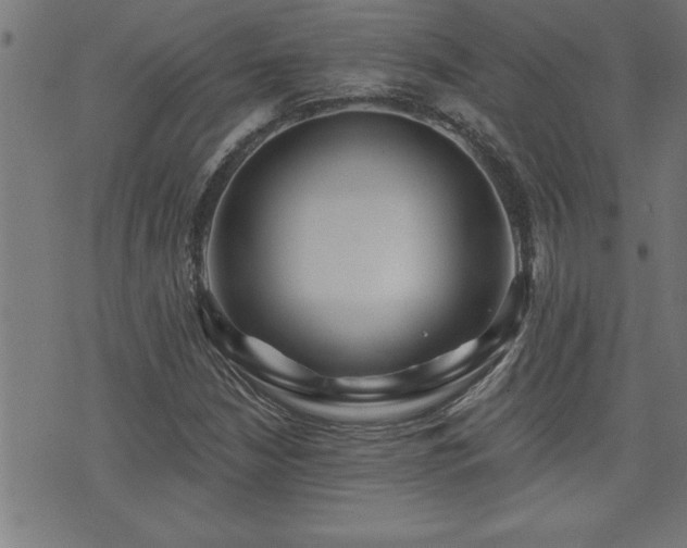 X0000073521210200607311215