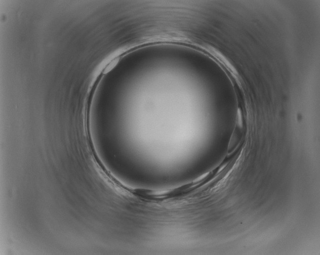 X0000073521246200607311216