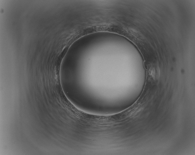 X0000073521252200607311215