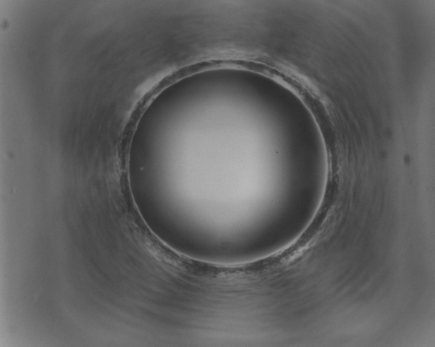 X0000073521264200607311215