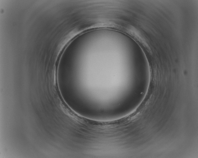 X0000073521276200607311215