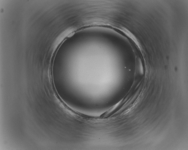 X0000073521293200607311214