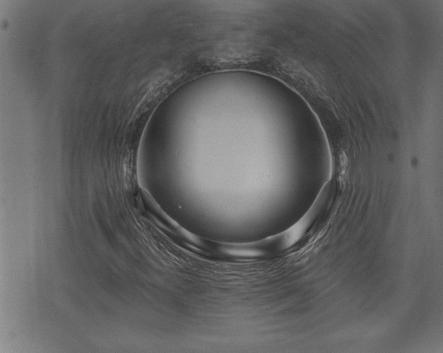 X0000073521300200607311214