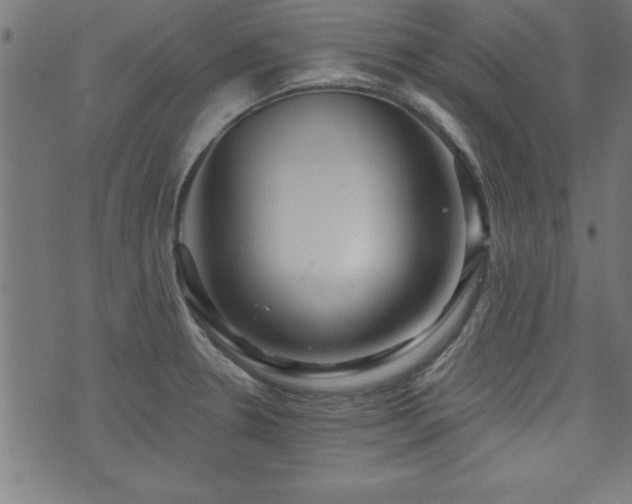 X0000073521330200607311214
