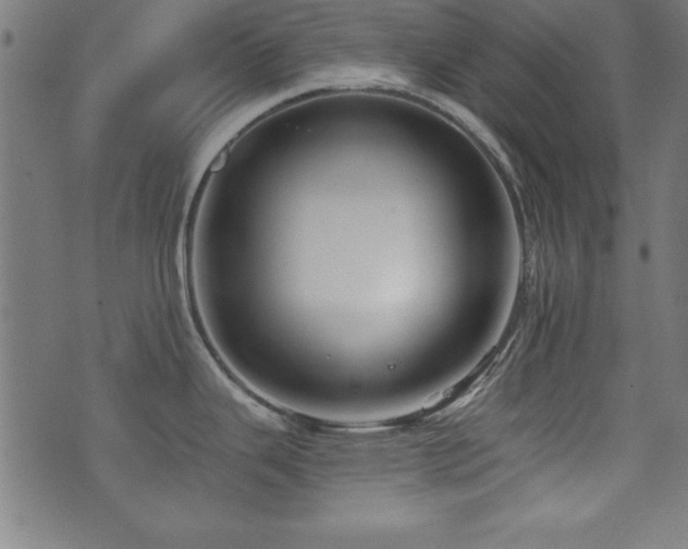 X0000073521343200607311214