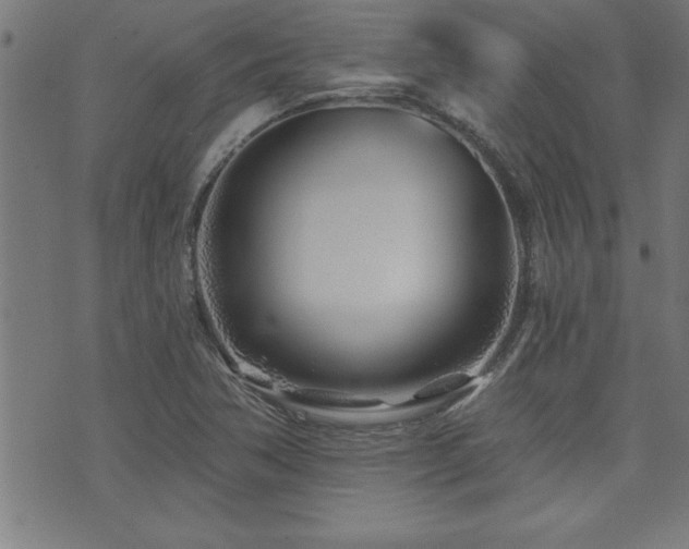 X0000073521362200607311213