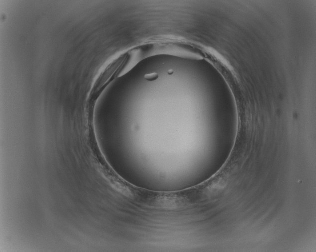 X0000073521364200607311213