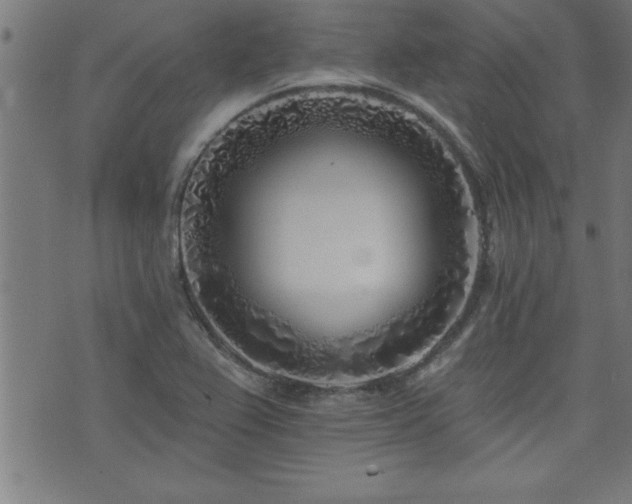 X0000073521367200607311213