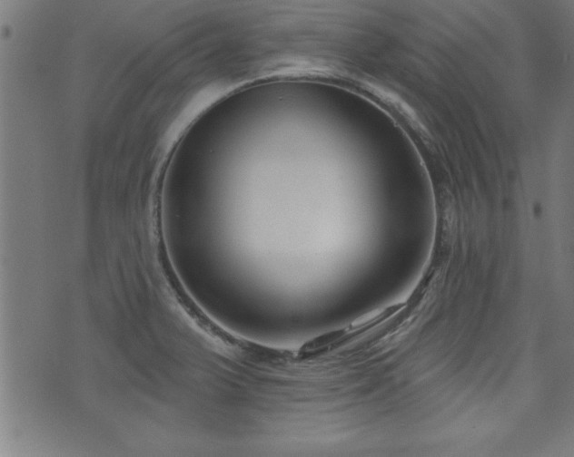 X0000073521375200607311213