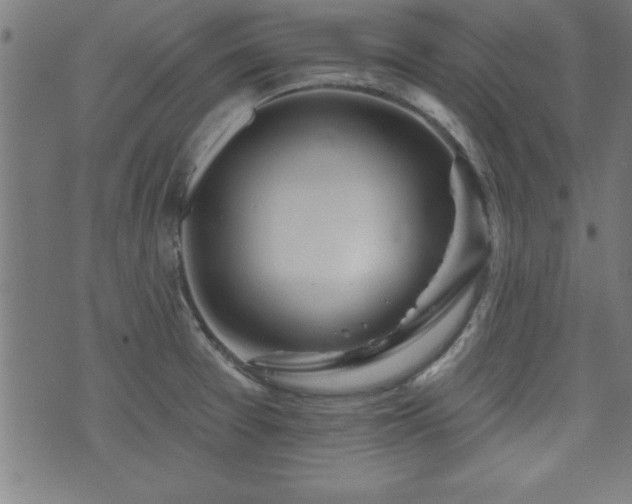 X0000073521377200607311213