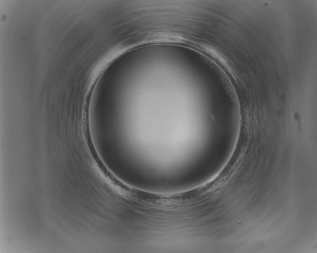 X0000073521379200607311213